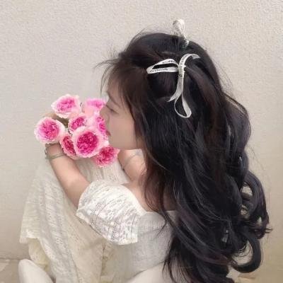 模糊乐队：直到尽头